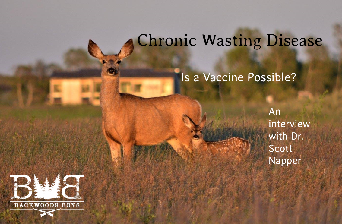 Chronic Wasting Disease Pin